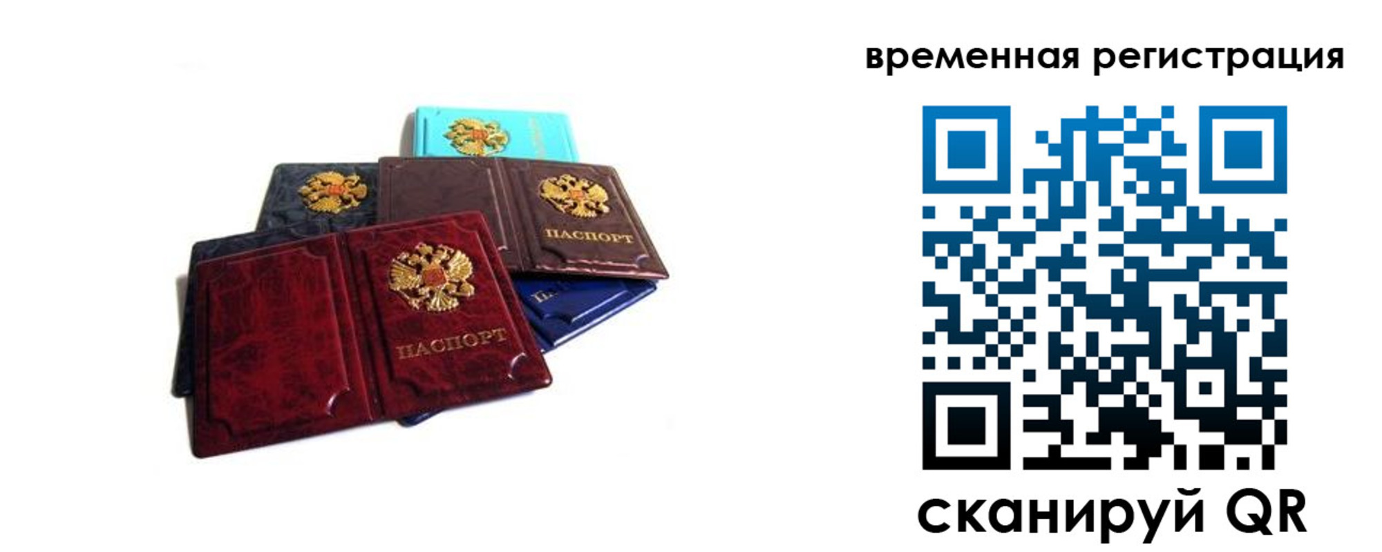 временная прописка в Алексине